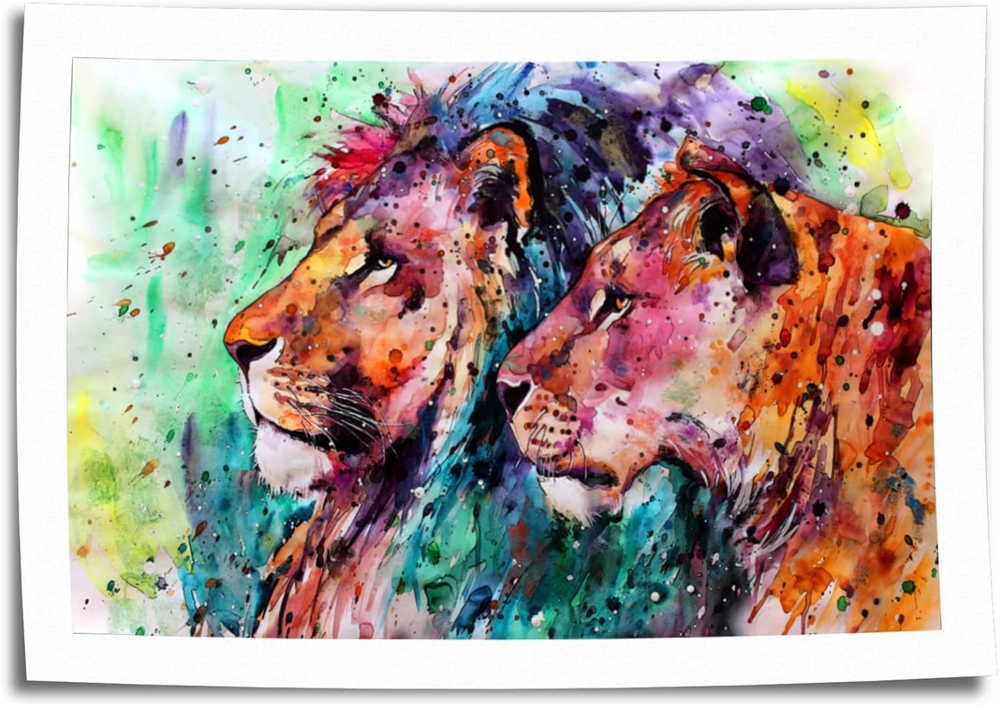 Paint by Numbers Kit 40x50cm (Lion & Lioness)